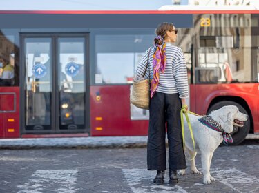 TÜV-Datenreport 2025: Mehr Bus- und Lkw-Prüfungen