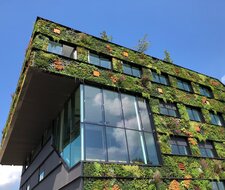 Ganzheitlicher Ansatz für mehr Klimaschutz im Gebäudesektor notwendig  