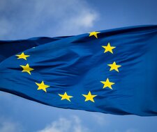 European elections: Driving forward the green and digital transition